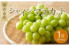 ぶどう 2025年 先行予約 シャイン マスカット 1房 約700g マスカット ブドウ 葡萄  岡山市産  国産 フルーツ 果物 ギフト　