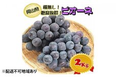 ぶどう 2025年 先行予約 ニュー ピオーネ【8月発送分】約2kg（2房～5房）秀品 糖度抜群！ 種無し ブドウ 葡萄 岡山県産 国産 フルーツ 果物 ギフト