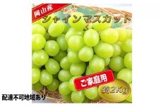 ぶどう 2025年 先行予約 ご家庭用 シャイン マスカット 約2kg 糖度抜群！ 【9月上旬～順次発送分】 ブドウ 葡萄 岡山県産 国産 フルーツ 果物