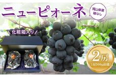 ぶどう 2025年  ニュー ピオーネ 2房（1房500g前後） 産地直送 ブドウ 葡萄  岡山県産 国産 フルーツ 果物 ギフト たけまさぶどう園