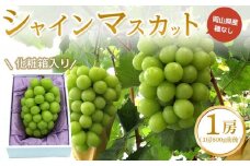 ぶどう 2025年 先行予約 シャイン マスカット 1房（1房600g前後） 産地直送 ブドウ 葡萄  岡山県産 国産 フルーツ 果物 ギフト たけまさぶどう園