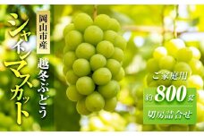 五果苑 越冬ぶどう【ご家庭用】 シャインマスカット 切房詰め合わせ 約800g | フルーツ 果物 くだもの シャインマスカット マスカット 岡山県産 国産 ご家庭用 シャインマスカット マスカット フルーツ 果物 くだもの シャインマスカット マスカット