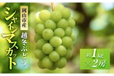 五果苑 越冬ぶどう  シャインマスカット 2房（1房約1.0kg） | フルーツ 果物 くだもの シャインマスカット マスカット 岡山県産 国産 ギフト 贈答用 プレゼント 贈り物 シャインマスカット マスカット フルーツ 果物 くだもの シャインマスカット マスカット