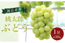 ぶどう 2025年 先行予約 桃太郎 ぶどう 1房 約500g｜フルーツ 果物 くだもの ぶどう ブドウ 葡萄 食品 人気 おすすめ 先行予約 岡山 岡山県産 国産 送料無料 ギフト 贈り物 贈答品 プレゼント ぶどう ブドウ