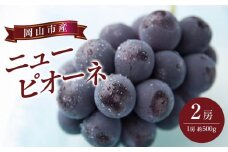 ぶどう 2025年 先行予約 ニュー ピオーネ 2房（1房約500g） ブドウ 葡萄  岡山市産 国産 フルーツ 果物 ギフト