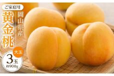 桃 2025年 先行予約 ご家庭用 おかやま の 黄金桃 大玉 3玉（合計約900g） もも モモ 岡山県産 国産 フルーツ 果物
