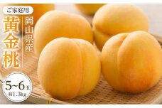 桃 2025年 先行予約 ご家庭用 おかやま の 黄金桃 約1.3kg（5～6玉） もも モモ 岡山県産 国産 フルーツ 果物