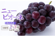 ぶどう 2025年 先行予約 ご家庭用 ニュー ピオーネ 2～3房 合計約1.2kg ブドウ 葡萄 岡山県産 国産 フルーツ 果物 ギフト
