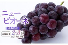ぶどう 2025年 先行予約 ご家庭用 ニュー ピオーネ 2～3房 合計約1.2kg ブドウ 葡萄 岡山県産 国産 フルーツ 果物 ギフト