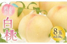 桃 2025年 先行予約 白桃 8玉 合計約2.0kg もも モモ 岡山市産 国産 フルーツ 果物 ギフト
