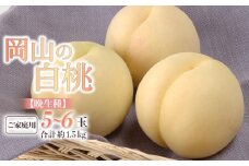 桃 2025年 先行予約 ご家庭用 白桃（晩生種） 5～6玉 合計約1.5kg もも モモ 岡山県産 国産 フルーツ 果物 ギフト
