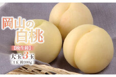 桃 2025年 先行予約 岡山の 白桃 大玉3玉（晩生種）（1玉約300g） もも モモ 岡山県産 国産 フルーツ 果物 ギフト