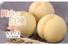 桃 2026年 岡山の 白桃 大玉3玉（晩生種）（1玉約300g） 【白桃 桃 もも 岡山県産 国産 フルーツ 果物 新鮮 おすすめ 人気 岡山県 岡山市 国産 先行予約 ギフト 大玉】