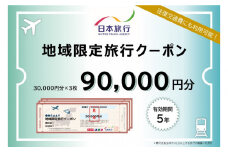 岡山県岡山市 日本旅行 地域限定旅行クーポン90,000円分