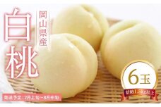 桃 2025年 先行予約 白桃 6玉（1玉250g以上） もも モモ 岡山県産 国産 フルーツ 果物 ギフト