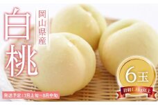桃 2025年 先行予約 白桃 6玉（1玉300g以上） もも モモ 岡山県産 国産 フルーツ 果物 ギフト