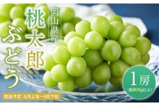 ぶどう 2025年 先行予約 桃太郎 ぶどう 1房（1房800g以上）｜フルーツ 果物 くだもの 食品 人気 特産 特産品 おすすめ 特選 送料無料 ぶどう 2025年 先行予約 桃太郎 ぶどう 1房 800g以上 ブドウ 葡萄 岡山県産 国産 フルーツ 果物 ギフト 果物類 いろは堂