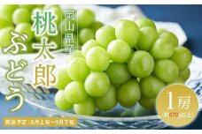 ぶどう 2025年 先行予約 桃太郎 ぶどう 1房（1房670g以上）｜フルーツ 果物 くだもの 食品 人気 特産 特産品 おすすめ 特選 送料無料 ぶどう 2025年 先行予約 桃太郎 ぶどう 1房 670g以上 ブドウ 葡萄 岡山県産 国産 フルーツ 果物 ギフト 果物類 いろは堂