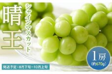 ぶどう 2025年 先行予約 シャイン マスカット 晴王 1房（1房670g以上） マスカット ブドウ 葡萄  岡山県産 国産 フルーツ 果物 ギフト