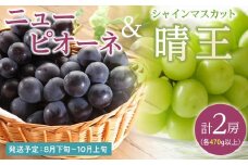 ぶどう 2025年 先行予約 ニュー ピオーネ 1房（1房470g以上） シャイン マスカット 『晴王』1房（1房470g以上）詰合せ（2房） ブドウ 葡萄  岡山県産 国産 フルーツ 果物 ギフト