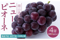 ぶどう 2025年 先行予約 ニュー ピオーネ 4房（合計約2kg） ブドウ 葡萄  岡山県産 国産 フルーツ 果物 ギフト