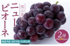 ぶどう 2025年 先行予約 ニュー ピオーネ 2房（合計約940g） ブドウ 葡萄  岡山県産 国産 フルーツ 果物 ギフト
