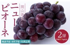 ぶどう 2025年 先行予約 ニュー ピオーネ 2房（合計約1.1kg） ブドウ 葡萄  岡山県産 国産 フルーツ 果物 ギフト