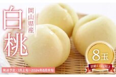 桃 2025年 先行予約 白桃 8玉（1玉200g以上） もも モモ 岡山県産 国産 フルーツ 果物 ギフト