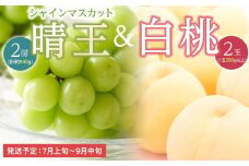 桃 ぶどう 2025年 先行予約 白桃 2玉（1玉200g以上） シャイン マスカット 『晴王』2房（合計約940g）詰合せ｜フルーツ 果物 くだもの もも ぶどう モモ ブドウ 桃 葡萄 白桃 シャインマスカット 晴王 2玉 2房 計約940g食品 人気 おすすめ 送料無料 ギフト 贈り物 贈答品 プレゼント