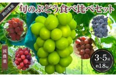 ぶどう 2025年 先行予約 旬のぶどう食べ比べセット 約1.8kg 3～5房 減農薬 ハウス栽培 ブドウ 葡萄  岡山県産 国産 フルーツ 果物 ギフト ばんの農園