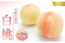 桃 2025年 先行予約 白桃 2kg 6～8玉 もも モモ 岡山 国産 フルーツ 果物 ギフト 桃茂実苑