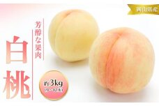 桃 2025年 先行予約 白桃 3kg 9～12玉 もも モモ 岡山 国産 フルーツ 果物 ギフト 桃茂実苑