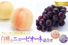 桃 ぶどう 2025年 先行予約 白桃 5玉 合計約1.5kg （1玉 約300g） ニュー ピオーネ 1房 550g もも 葡萄 詰合せ 岡山 国産 フルーツ 果物 ギフト 桃茂実苑