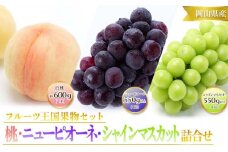 岡山県産 白桃 2玉（1玉約300g）・ニューピオーネ1房（550g以上）・シャインマスカット 晴王 1房（550g以上）2025年先行予約 | フルーツ 果物 くだもの 詰め合わせ 詰合せ 桃 もも モモ 白桃 シャインマスカット マスカット 晴王 葡萄 ブドウ ぶどう ニューピオーネ ピオーネ フルーツセット 果物セット ギフト 贈答用 プレゼント 贈り物 フルーツ 果物