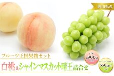 桃 ぶどう 2025年 先行予約 白桃 3玉 合計約900g （1玉約300g） シャインマスカット 晴王 1房 550g以上  | フルーツ 果物 くだもの 桃 白桃 もも モモ シャインマスカット マスカット 晴王 詰合せ セット 岡山 岡山県産 国産 桃 白桃 シャインマスカット ギフト プレゼント 贈答用 桃 もも モモ シャインマスカット