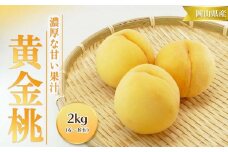 桃 2025年 先行予約 黄金桃 2kg 6～8玉 もも モモ 岡山 国産 フルーツ 果物 ギフト 桃茂実苑