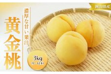桃 2025年 先行予約 黄金 桃 3kg 9～12玉 もも モモ 岡山 国産 フルーツ 果物 ギフト 桃茂実苑