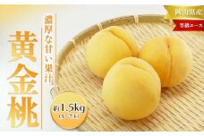 桃 2025年 先行予約 黄金桃 等級 エース 約1.5kg 5～7玉入り もも モモ 岡山 国産 フルーツ 果物 桃茂実苑