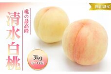 桃 2025年 先行予約 清水 白桃 3kg 9～12玉 もも モモ 岡山 国産 フルーツ 果物 ギフト 桃茂実苑