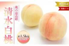 桃 2025年 先行予約 清水 白桃 等級 エース 約1.5kg 5～7玉入りもも モモ 岡山 国産 フルーツ 果物 ギフト 桃茂実苑