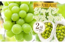 ぶどう 2025年 先行予約 黒川農園 自慢 ! の 大粒 大房 シャイン マスカット 2房 （1房 700g以上） ブドウ 葡萄  岡山県産 国産 フルーツ 果物 ギフト 岡山県産