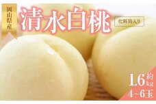 桃 2025年 先行予約 清水 白桃 約1.6kg 4~6玉 もも モモ 岡山県産 国産 フルーツ 果物 ギフト 横木農園