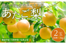 梨 2025年 先行予約 あたご梨 2玉（1玉約750g）合計約1.5kg なし ナシ 岡山県産 国産 フルーツ 果物 ギフト
