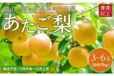 梨 2025年 先行予約 あたご梨 青秀クラス以上 3～6玉 約4kg  なし ナシ 岡山県産 国産 フルーツ 果物 ギフト