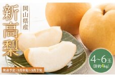 梨 2025年 先行予約 新高梨 青秀以上 4～6玉 約4kg  なし ナシ 岡山県産 国産 フルーツ 果物 ギフト