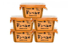 岡山テンペみそ 300g×5個