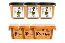 【セット】岡山甘口 500g×3個 岡山テンペみそ 300g×3個
