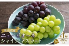 ぶどう 2025年 先行予約 ニュー ピオーネ 1房（480g以上） シャイン マスカット 1房（480g以上） | ピオーネ 果物 フルーツ 新鮮 ブドウ 葡萄  岡山 国産 ギフト おすすめ 人気
