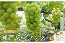 ぶどう 2025年 先行予約 瀬戸 ジャイアンツ 2房（1房480g以上） ブドウ 葡萄  岡山県産 国産 フルーツ 果物 ギフト