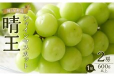 ぶどう 2025年 先行予約 シャイン マスカット 晴王 2房（1房600g以上） ブドウ 葡萄  岡山県産 国産 フルーツ 果物 ギフト